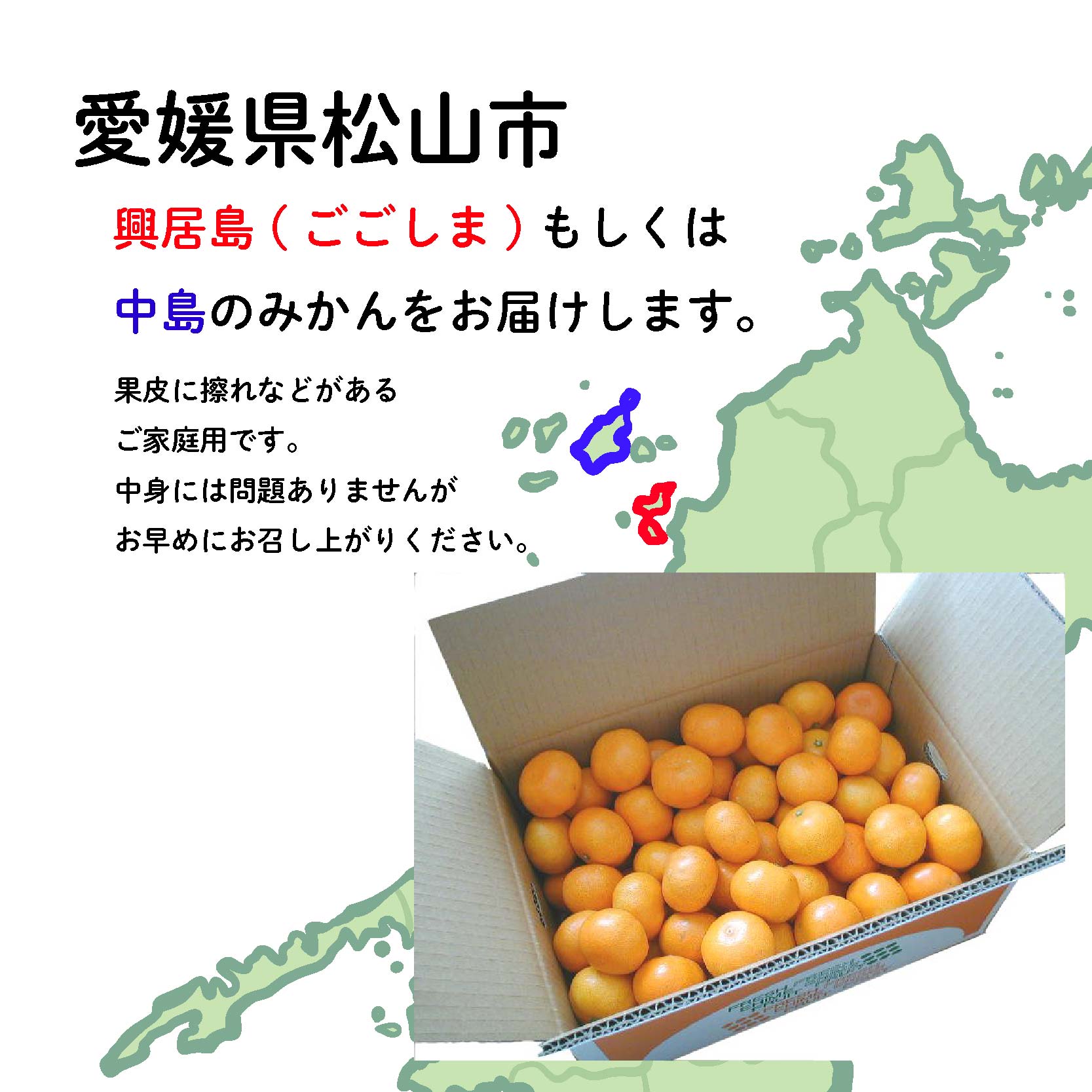 ã11æäžæ¬ããé æ¬¡çºéãçããæåªã¿ãã ç¬æžå
ã®å€ªéœãšæœ®é¢šã§è²ã£ããå®¶åºçš 3kg | èæ ã¿ãã æåª æŸå±± ãã«ãŒã æç© ãã ãã® æ°ééå® æééå® éæç¡æ