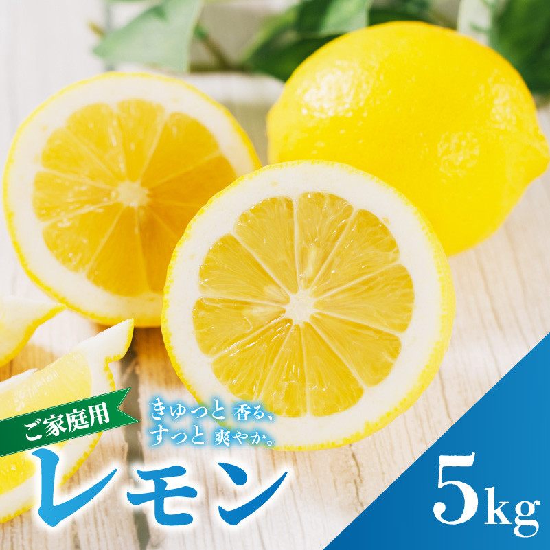イエロー レモン 家庭用 5kg 【2027年2月上旬から発送】  防腐剤 ワックス 不使用｜ 訳あり レモン 檸檬 完熟 柑橘 酸味 国産 愛媛県産 訳あり 新鮮 愛媛 松山