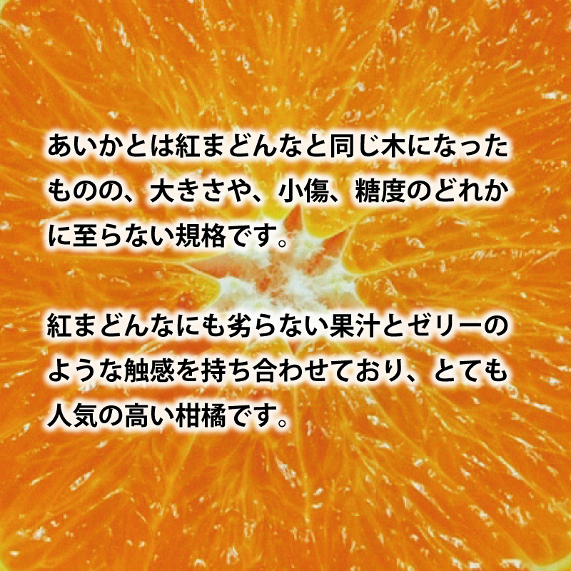 訳なし！ 高級 みかん あいか 愛果28号 約5kg ＜11月中旬～発送＞ 紅まどんな と同品種 数量限定 愛媛産 愛媛県産 国産 高級 みかん ミカン mikan 蜜柑 愛果28号 柑橘 フルーツ 果物 くだもの お取り寄せ 人気 おすすめ 愛媛県 松山市 送料無料