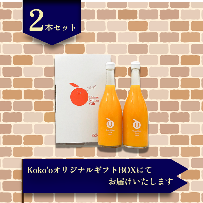 【ギフトおすすめ】 温州みかんジュース 2本セット ギフト お中元 手土産 贈り物 プレゼント おすすめ みかん ジュース 愛媛県 松山市