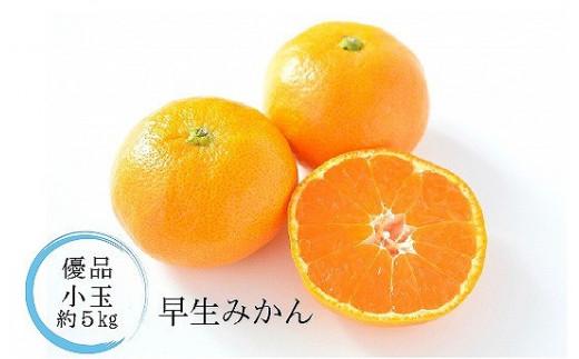 縲2026蟷エ11譛井クュ譌ャ鬆縺九i鬆谺。逋コ騾√第クゥ蟾槭∩縺九s縲梧掠逕溘 <螳カ蠎ュ逕ィ(蜆ェ蜩)繝サ蟆冗脂> 邏5kg シ 諢帛ェ帷肇 諢帛ェ帷恁逕」 蝗ス逕」 諢帛ェ帙∩縺九s 諢帛ェ幄惧譟 諢帛ェ帙Α繧ォ繝ウ 縺ソ縺九s 繝溘き繝ウ mikan 陷懈汨 譟第ゥ 繝輔Ν繝シ繝 譫懃黄 縺上□繧ゅョ 縺雁叙繧雁ッ縺 逕」蝨ー逶エ騾 謨ー驥城剞螳 莠コ豌 縺翫☆縺吶a 諢帛ェ帷恁 譚セ螻ア蟶 騾∵侭辟。譁 シ