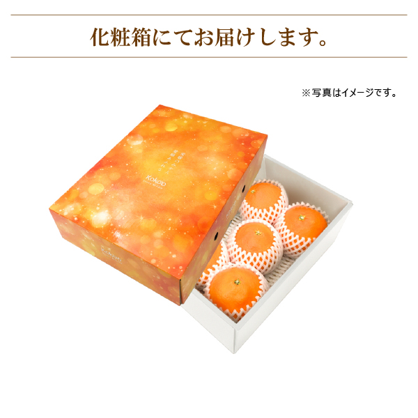  【2026年11月中旬頃から発送予定】愛果28号 (紅まどんな と同品種) 秀品 約1.5kg 贈答用 化粧箱入り  |  愛媛産 愛媛県産 国産 愛媛みかん 愛媛蜜柑 愛媛ミカン みかん ミカン mikan 蜜柑 柑橘 フルーツ 果物 くだもの お取り寄せ 産地直送 数量限定 人気 おすすめ 愛媛県 松山市 送料無料