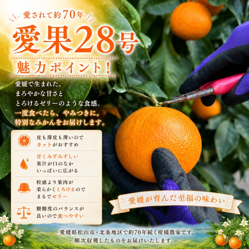 ã2026幎11æäžæ¬é ããé æ¬¡çºéã ææ28å·ïŒçŽ
ãŸã©ããªãšååçš®ïŒ çŽ1.0kg ïœã¿ãã ææ èæ æŸå±±åžç£ã¿ãã ææ© ãã«ã³ èæ ã¿ãã æç© ãªã¹ã¹ã¡ã¿ãã ãã«ãŒã ããã ã¿ãã ããŸã çã ãããã çŸå³ãã ããŸã é
žå³ æŸå±± æåª