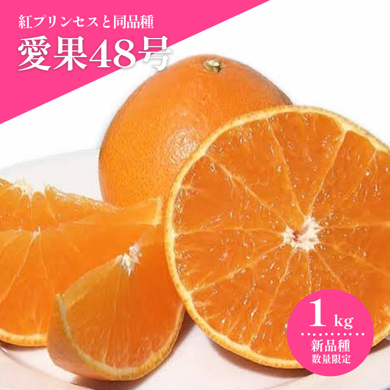 [2027年3月上旬頃から順次発送] 愛果48号(紅プリンセスと同品種) 約1.0kg |あいか 愛果 紅まどんな × 甘平 紅プリンセス と同品種 みかん 蜜柑 ミカン 柑橘 果物 フルーツ 松山市産みかん 新品種 甘い 美味しい 酸味 おすすめ お取り寄せ グルメ ギフト 期間 ご当地 愛媛県 松山市