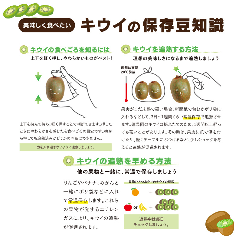 キウイフルーツ ヘイワード 2.5kg サイズ混合 家庭用 【先行予約 2026年10月下旬から発送】 | きうい 果物 キウイくだもの フルーツ おすすめ  人気 お取り寄せ グルメ ギフト 期間限定 数量限定 ご当地 愛媛県 松山市