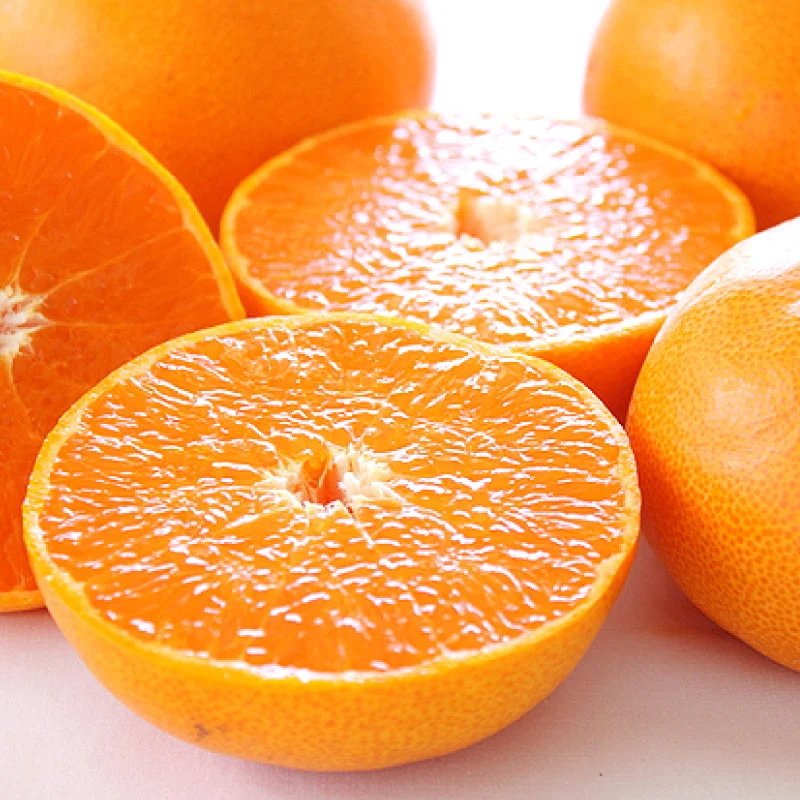 ã2æäžæ¬ããçºéã ããšã ïŒç§åïŒ(2L-3L / 5-6çïŒèŽççšåç²§ç®±å
¥ã | ã¿ãã ããšã ç§å æåªç æŸå±±åž ãããã æŸå±±åžç£ããšã ææ©ã®å€§ãããããšãã ææ© ã¿ãã ãã«ã³ ããšã åªåããšã ãµãããšçŽçšããšã ã¿ãã ææ© åç²§ç®±å
¥ãããšã èŽççšææ© ã®ããçšã¿ãã ãã¬ãŒã³ãçšããšã ç§åããšã