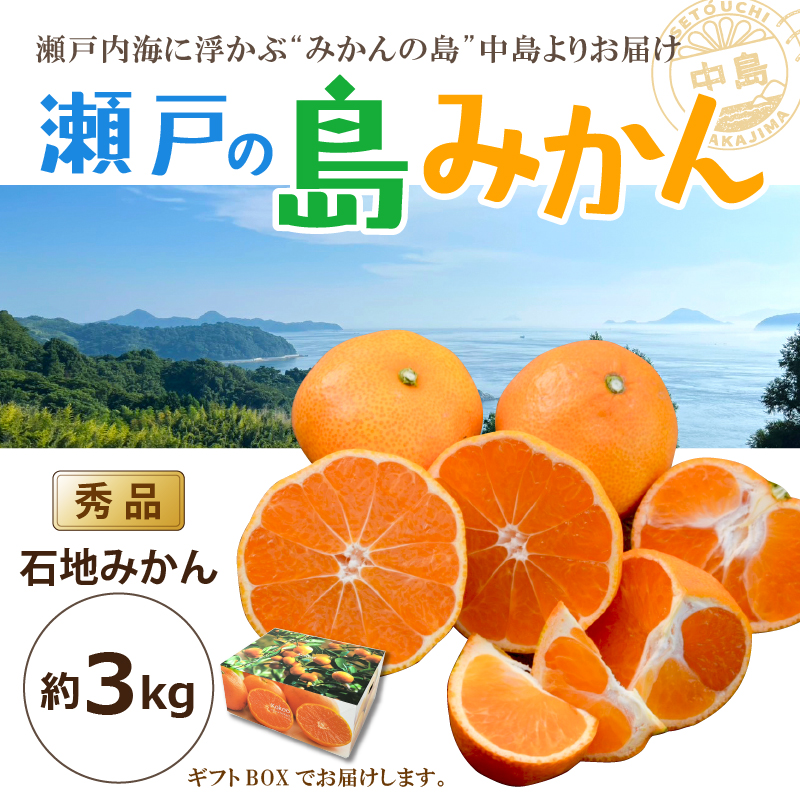 【先行予約】 瀬戸内海の島みかん (秀品・ギフトBOX入)【石地みかん】約3kg | 柑橘 みかん 密柑 オレンジ フルーツ 果物 愛媛県 松山市 ココオ Koko'o