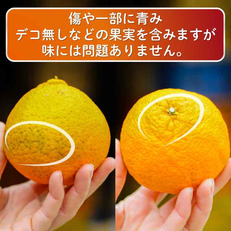 【先行予約】 家庭用 不知火（しらぬい）3kg 光センサー選別 糖度13.5度以上 【2026年2月～3月発送】 ミカン デコポンと同品種 みかん 不知火 家庭用 愛媛県 松山市