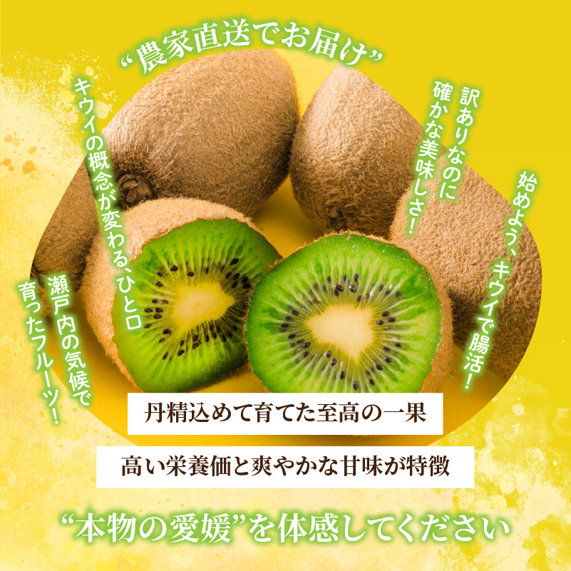 キウイフルーツ ヘイワード 10㎏ サイズ混合 家庭用 【先行予約 2026年10月下旬から発送】 | きうい 果物 キウイくだもの フルーツ おすすめ  人気 お取り寄せ グルメ ギフト 期間限定 数量限定 ご当地 愛媛県 松山市