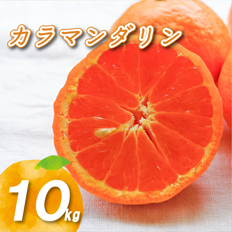 【2027年4月下旬頃から順次発送】カラマンダリン 10kg | 数量選択可 みかん ミカン 蜜柑 柑橘 数量限定 愛媛県産 松山市 中島 愛媛 送料無料