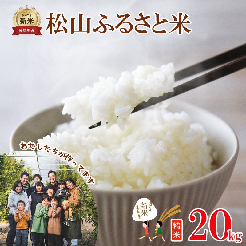 【2026年10月中旬頃から順次発送】松山ふるさと米 愛媛県産 新米 令和8年産 20kg 精米 ｜産地直送 国産 白米 ブランド米 米 お米 期間限定 数量限定 ご当地 愛媛県 松山市 にじのきらめき ひのひかり あきたこまち にこまる