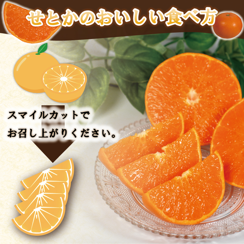 せとか 5kg 優品以上 みかん ミカン mikan 柑橘 フルーツ 果物 愛媛県 松山市