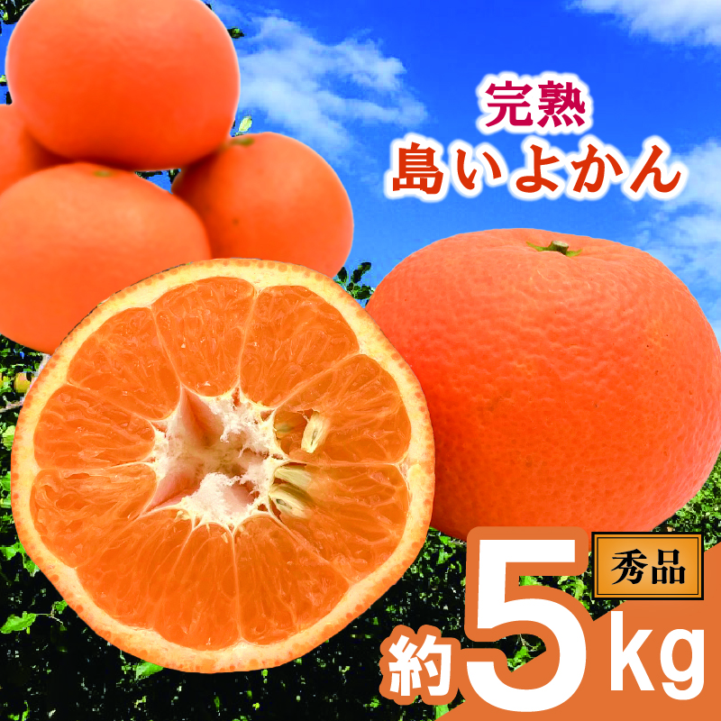 【先行予約】 完熟島いよかん (秀品) 約5kg | いよかん 伊予柑 柑橘 みかん 蜜柑 mikan 檸檬 オレンジ おれんじ かんきつ 【2026年2月上旬頃から発送予定】 愛媛県 松山市 ココオ Koko'o