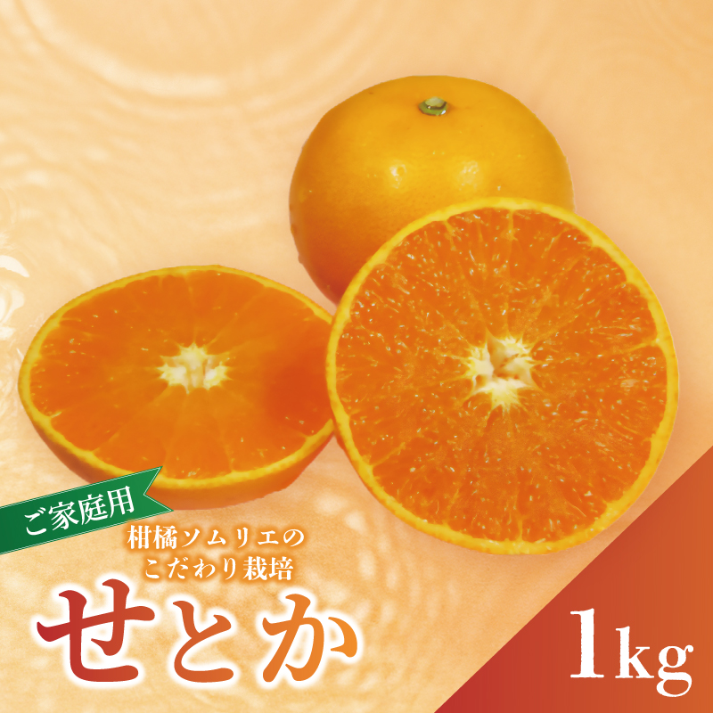 【先行予約】 せとか B品 家庭用 お試し 1kg 【2026年2月下旬から発送予定】 | セトカ みかん 蜜柑 柑橘 甘い 高級 先行 予約 果物 フルーツ おすすめ 人気 愛媛三大柑橘（ 紅まどんな せとか 甘平 ） 愛媛 松山