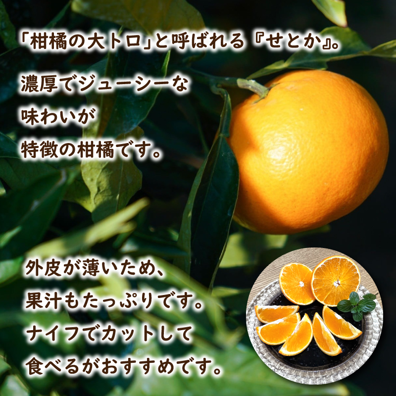 ã2027幎3æé ããé æ¬¡çºéã ããšã (å®¶åºçš) çŽ2kg | ã¿ãã ææ© ããšã èæ ã¿ãã éªå¹žå æåªç æŸå±±åž