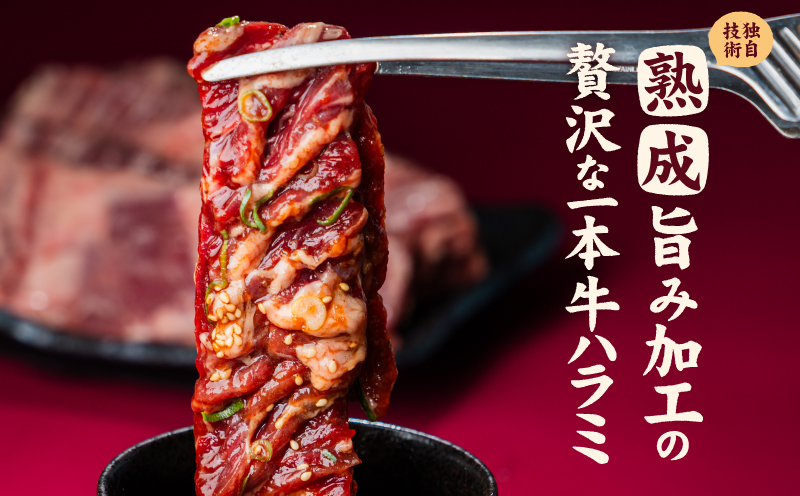 牛ハラミ ブロック 3kg タンブリング加工 牛ハラミ はらみ 牛肉 肉 個包装 冷凍 焼肉 焼き肉 BBQ バーベキュー ステーキ 丼物 簡単調理 炒め物 家庭用 業務用 人気 お取り寄せ 愛媛県 松山市