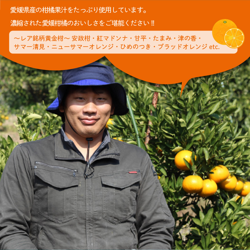 【定期便3回】 旬のちゅうちゅうゼリー 定期便 10個 | 柑橘 みかん みかんゼリー フルーツゼリー デザート フルーツ 果物 国産 飲料 常温 スイーツ お取り寄せ ギフト 人気 おすすめ お土産 愛媛県 松山市 送料無料