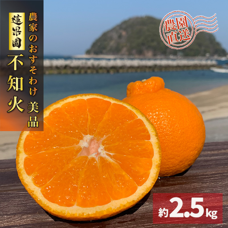 [2027年3月上旬頃から順次発送] 不知火(デコポンと同一品種) 美品 約 2.5kg | 蜜柑 柑橘 みかん 果物 くだもの フルーツ おすすめ 高級 人気 お取り寄せ グルメ ギフト 期間限定 数量限定 ご当地 愛媛県 松山市