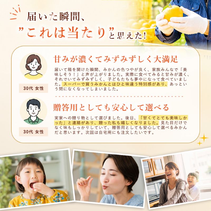 【選ぶならこれ】 果汁じゅわっと 【清見タンゴール】 3kg 愛媛県産 【2027年2月下旬頃から順次発送】 | 清見 タンゴール みかん ミカン mikan 蜜柑 訳ありフルーツ 柑橘 果物 おすすめ お勧め お取り寄せ ギフト 愛媛県 松山市