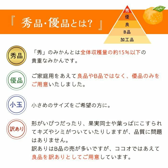 【2026年11月中旬頃から順次発送】愛果28号 (紅まどんな と同品種) 家庭用(優品) 約3kg あいか みかん ミカン オレンジ 贈答 ギフト プレゼント 高級 柑橘 松山 愛媛県