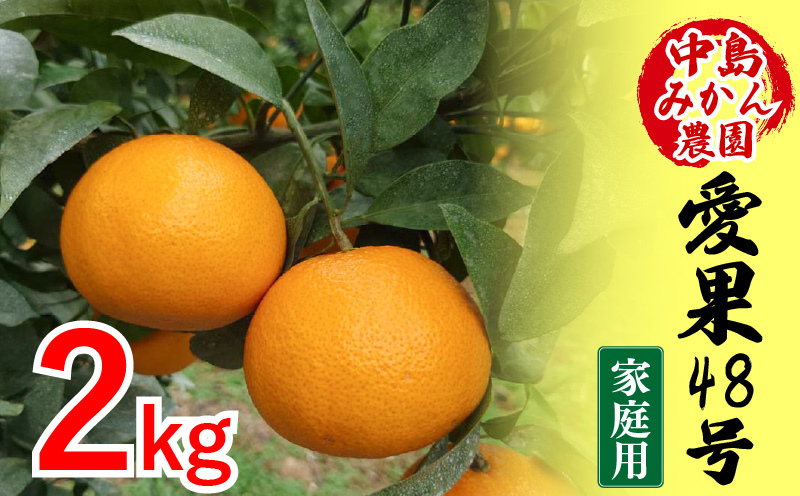【2026年3月から発送予定】 愛果48号 家庭用 2kg | あいか 家庭用 紅プリンセス と同品種 先行予約 高級 蜜柑 ミカン みかん ジューシー 甘い  柑橘  人気 お取り寄せ  期間 数量 限定 愛媛 松山 中島みかん農園