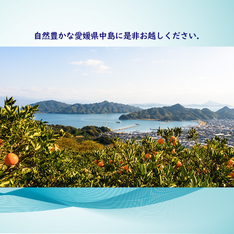 ほしふるテラス姫ケ浜 9000円分 宿泊利用券 | 温泉 旅行 トラベル チケット トライアスロン 宿泊 宿泊券 予約 観光 愛媛 松山 人気 おすすめ