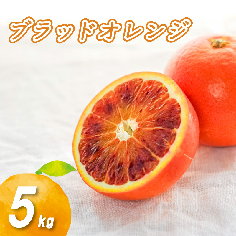 【2026年1月下旬より発送】ブラッドオレンジ 5kg | 数量選択可 みかん ミカン 蜜柑 柑橘 数量限定 愛媛県産 松山市 中島 低農薬 愛媛 ふるさと納税