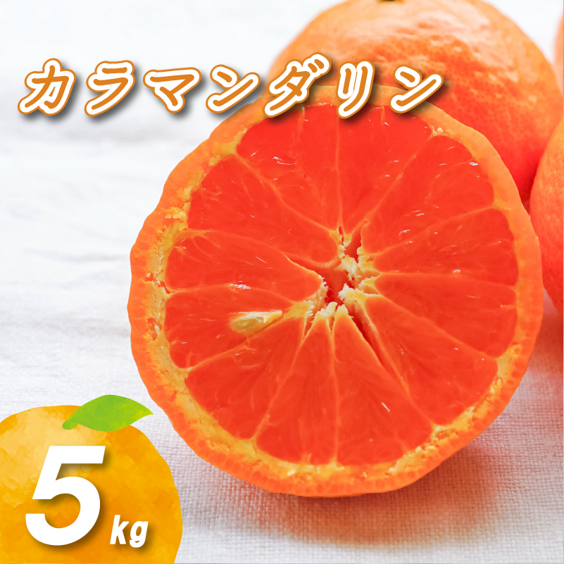 【2027年4月下旬頃から順次発送】カラマンダリン 5kg | 数量選択可 みかん ミカン 蜜柑 柑橘 数量限定 愛媛県産 松山市 中島 愛媛 送料無料