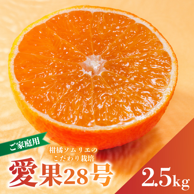 愛果28号 (紅まどんな と同品種) ご家庭用 2.5kg 【2025年11月下旬から発送】 | あいか 紅まどんな 紅マドンナ と 同品種 みかん まどんな ワケアリ 柑橘 みかん 果物 おすすめ 高級 人気 お取り寄せ グルメ ギフト 期間 ご当地 愛媛県 松山市 蓮果園