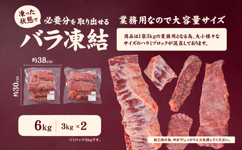 牛ハラミ ブロック 6kg タンブリング加工 牛ハラミ はらみ 牛肉 肉 個包装 冷凍 焼肉 焼き肉 BBQ バーベキュー ステーキ 丼物 簡単調理 炒め物 家庭用 業務用 人気 お取り寄せ 愛媛県 松山市