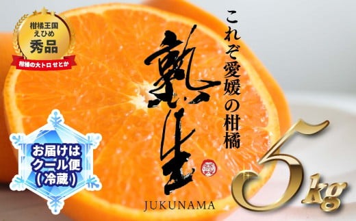 熟生 せとか 秀品 Lサイズ 5kg 冷蔵配送 要冷蔵保管 2025年 5月発送 柑橘 くだもの 愛媛 松山 サンマルシェ