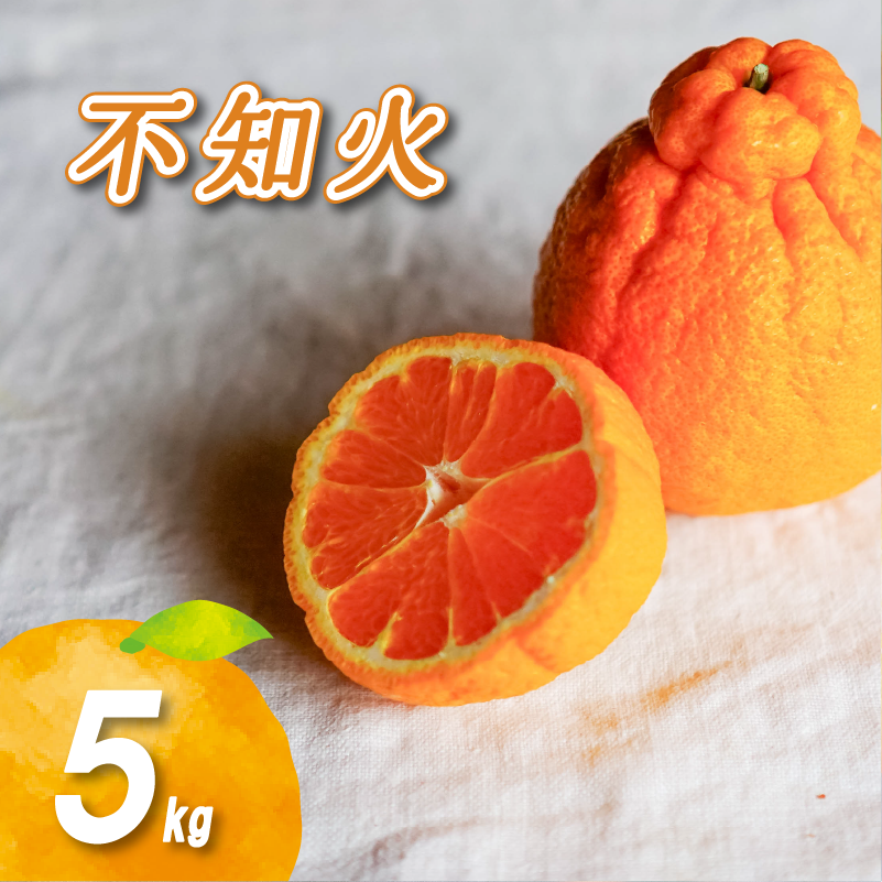 【2027年2月中旬頃から順次発送】  不知火5kg | 数量選択可 みかん ミカン 蜜柑 柑橘 数量限定 愛媛県産 松山市 中島 愛媛 ふるさと納税