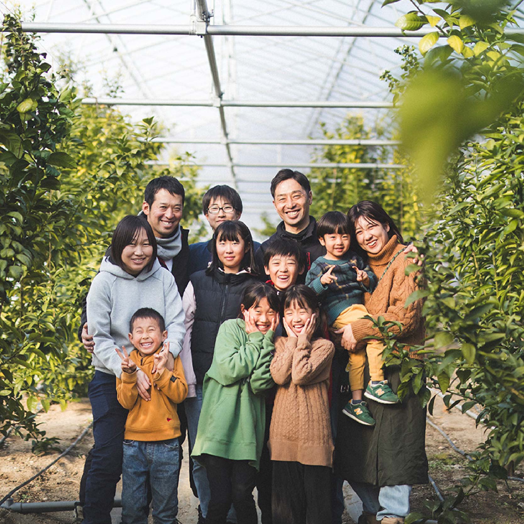 訳あり せとか 家庭用 5kg ｜産地直送 国産 柑橘 期間限定 数量限定 ご当地 愛媛県 松山市