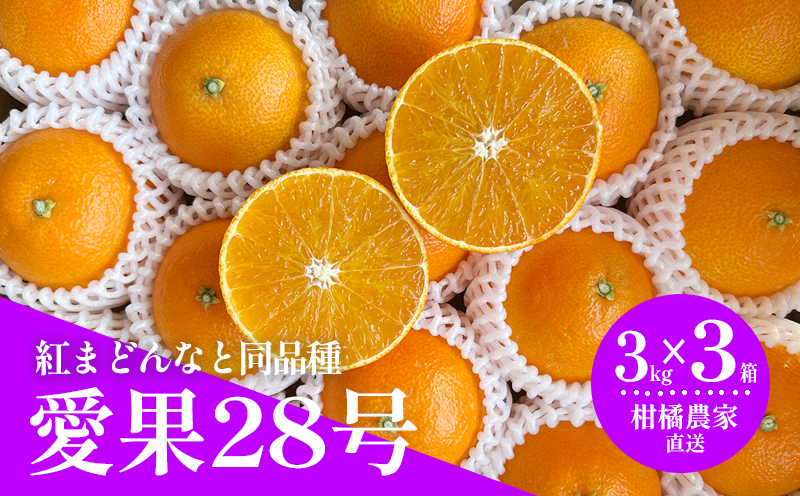 【2026年11月下旬から発送予定】  数量限定 愛果28号（紅まどんなと同品種） 約3kg×3箱