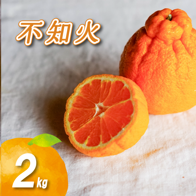 【2027年2月中旬頃から順次発送】  不知火 2kg | 数量選択可 みかん ミカン 蜜柑 柑橘 数量限定 愛媛県産 松山市 中島 愛媛 ふるさと納税
