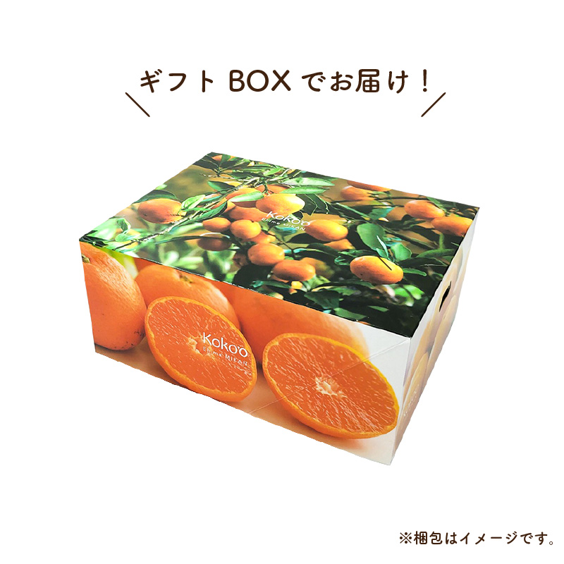 【先行予約】 瀬戸内海の島みかん (秀品・ギフトBOX入)【石地みかん】約3kg | 柑橘 みかん 密柑 オレンジ フルーツ 果物 愛媛県 松山市 ココオ Koko'o