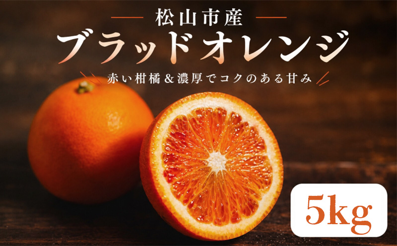 【2027年3月中旬頃から順次発送】  ブラッドオレンジ 5kg ｜愛媛 タロッコ 果物 ビタミン 健康 フルーツ 柑橘 農家直送 産地直送 数量限定  松山  くだもの 果実 有名 みかん 愛媛県産 瀬戸内 デザート スイーツ おすすめ 国産 青果 酸味 果汁 果肉 蜜柑 ミカン あかい 松山市産みかん 甘い 美味しい お取り寄せ グルメ ギフト 期間 ご当地 愛媛県 松山市