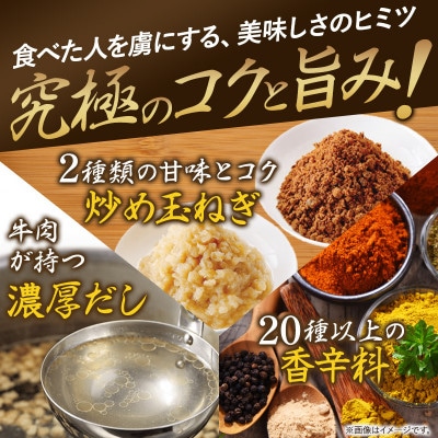 食研カレー　200g×10袋入り【VB02360SET10】【1553249】