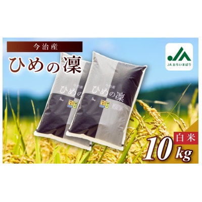 今治産　米「ひめの凜」　10kg【VB01580k10】【1552939】