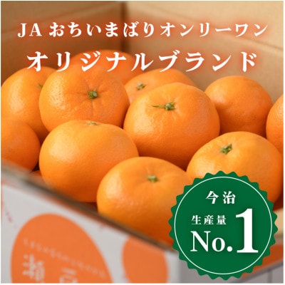 4kg、11月〜12月に発送【先行受付】JAおちいまばり 瀬戸の晴れ姫(はれひめ)【KC01230】【1086043】