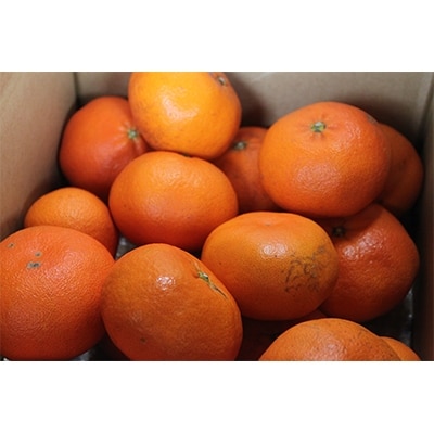 ホリ田ヤの甘平2.5キロ　ホリ田ヤのみかんの中で最高峰の甘さを誇る逸品【KB00820】【1117740】