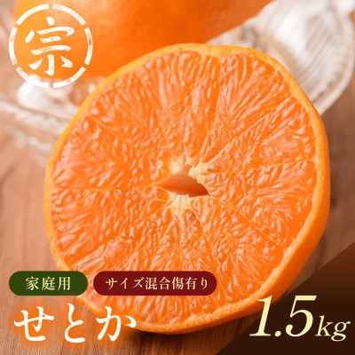 【宗方印】【数量限定】せとか 約1.5kg(家庭用) 【K003570K1.5】【1676976】