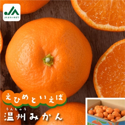 今治産柑橘 温州みかん 約4kg 愛媛の大人気果物【B90】【1092103】
