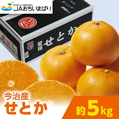 愛媛県今治産柑橘 せとか 5kg 甘くてジューシーな大人気果物【ご家庭用】【C077】【配送不可地域：離島】【1304862】