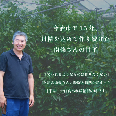 【先行予約】マルハ　甘平　4L〜3L　8〜10玉　2025年1月から順次発送【K002030】【配送不可地域：離島】【1519945】