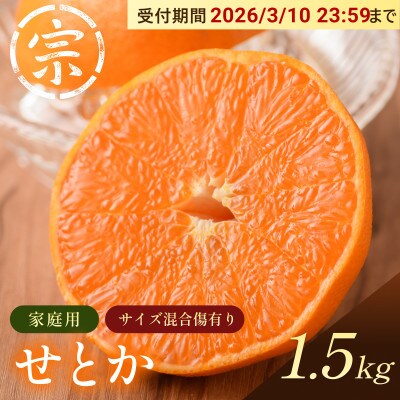 【宗方印】【数量限定】せとか 約1.5kg(家庭用) 【K003570K1.5】【1676976】