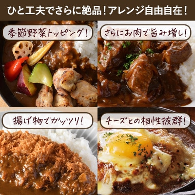 食研カレー　200g×10袋入り【VB02360SET10】【1553249】