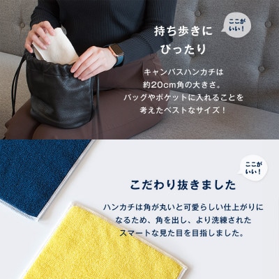 (今治タオル)キャンバスタオル　ハンカチ　3枚セット(コーラル)【I002150HT3CO】【1680855】