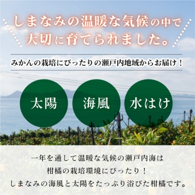 愛媛県今治産柑橘 甘平 5kg シャキッと食感の大人気果物【ご家庭用】【C078】【配送不可地域：離島】【1304861】