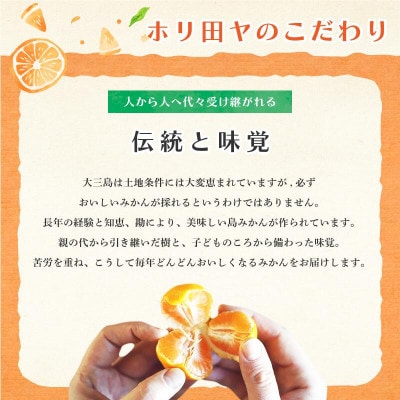 【先行予約】【数量限定】ホリ田ヤ でこかん 2.5kg【K002430】【1655215】